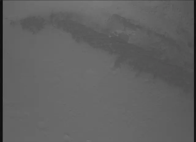 Sol 0: Mars Descent Imager (MARDI)