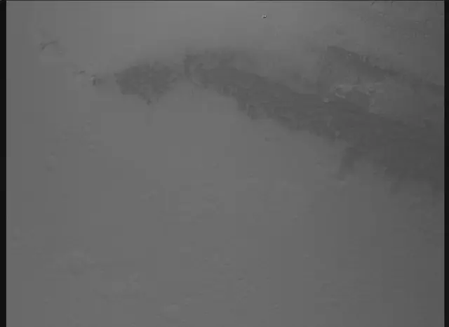Sol 0: Mars Descent Imager (MARDI)