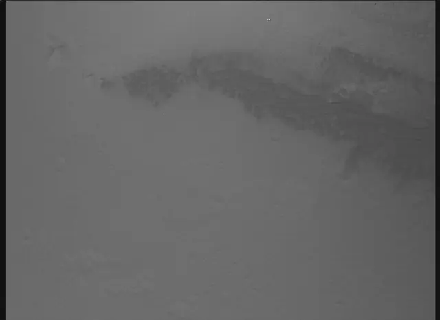 Sol 0: Mars Descent Imager (MARDI)
