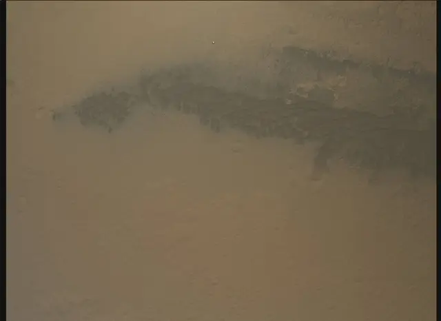 Sol 0: Mars Descent Imager (MARDI)