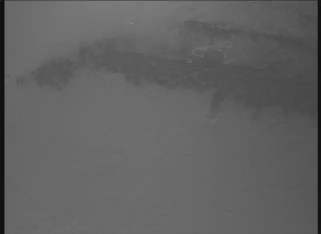 Sol 0: Mars Descent Imager (MARDI)