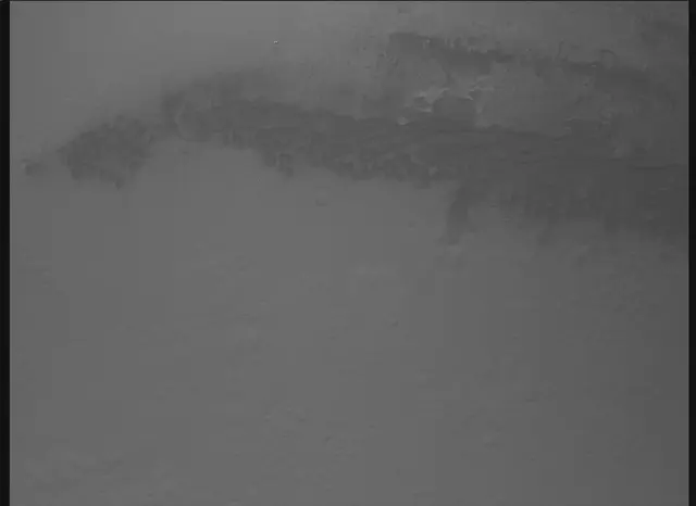 Sol 0: Mars Descent Imager (MARDI)