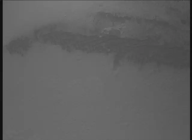 Sol 0: Mars Descent Imager (MARDI)