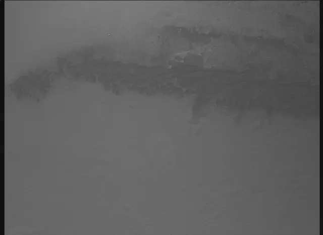Sol 0: Mars Descent Imager (MARDI)