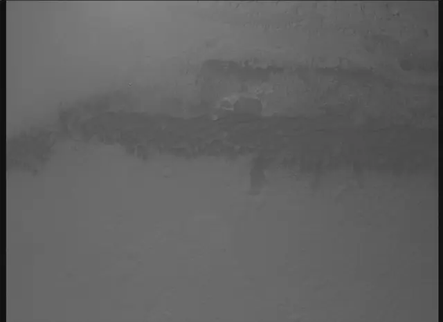 Sol 0: Mars Descent Imager (MARDI)