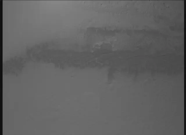 Sol 0: Mars Descent Imager (MARDI)