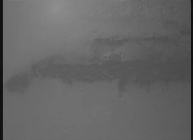 Sol 0: Mars Descent Imager (MARDI)