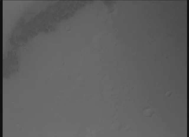 Sol 0: Mars Descent Imager (MARDI)