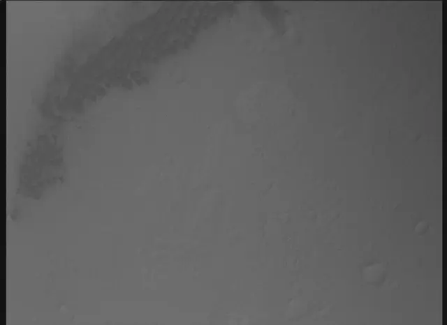 Sol 0: Mars Descent Imager (MARDI)