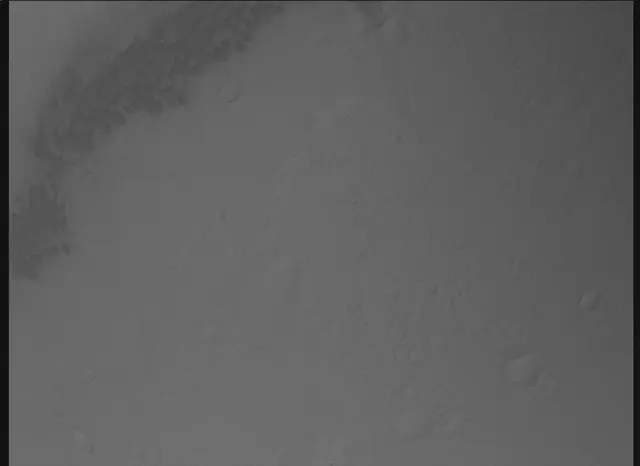 Sol 0: Mars Descent Imager (MARDI)
