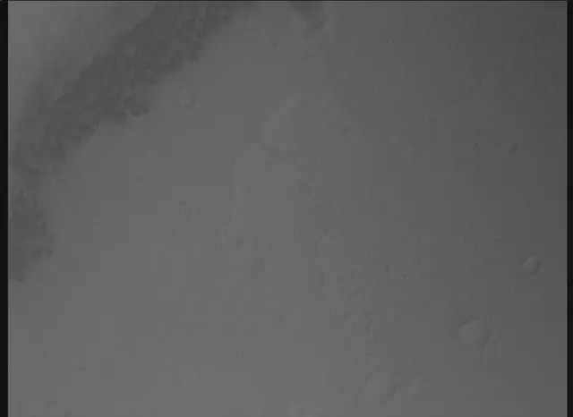 Sol 0: Mars Descent Imager (MARDI)