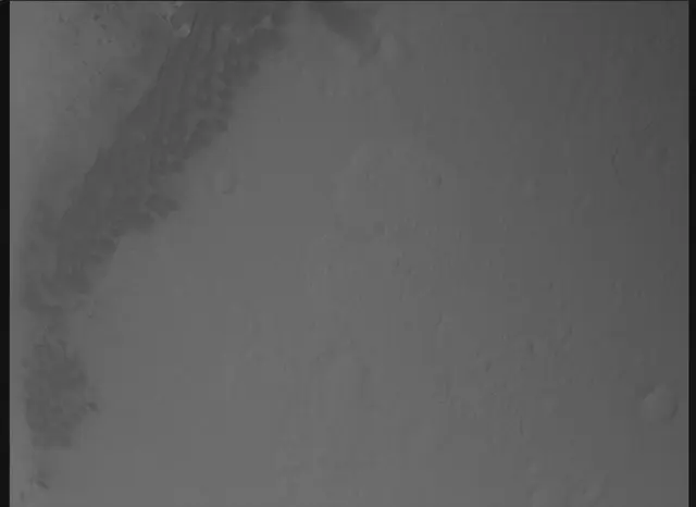 Sol 0: Mars Descent Imager (MARDI)