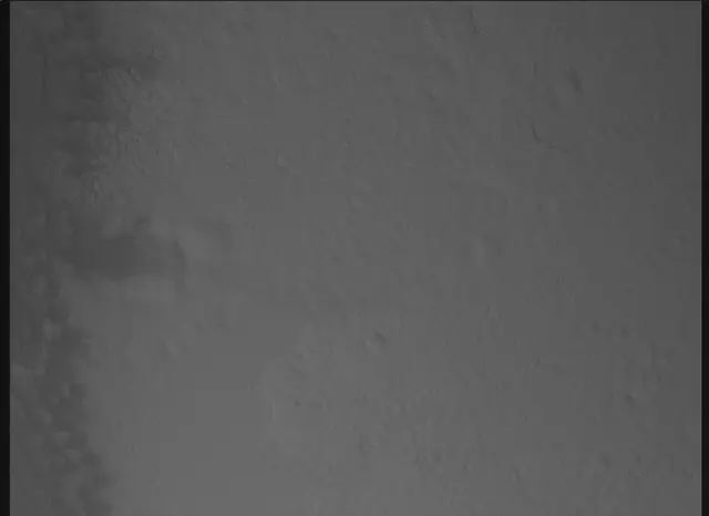 Sol 0: Mars Descent Imager (MARDI)