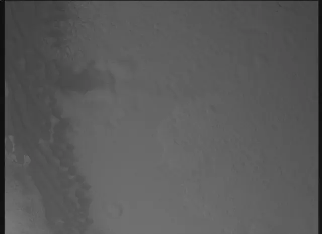Sol 0: Mars Descent Imager (MARDI)