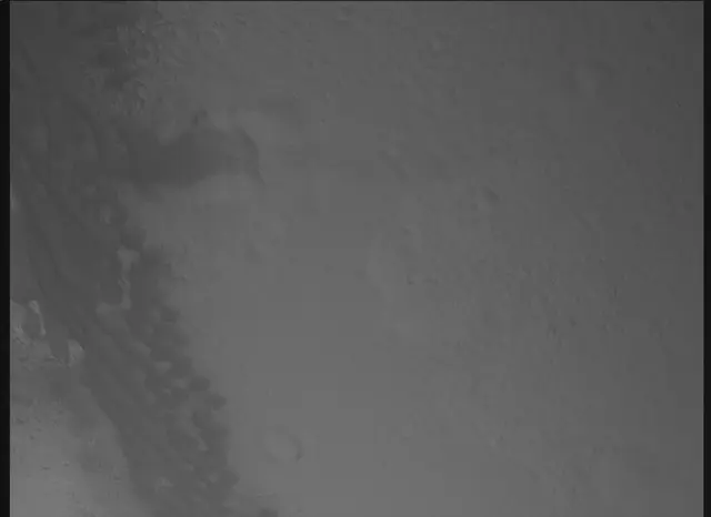 Sol 0: Mars Descent Imager (MARDI)