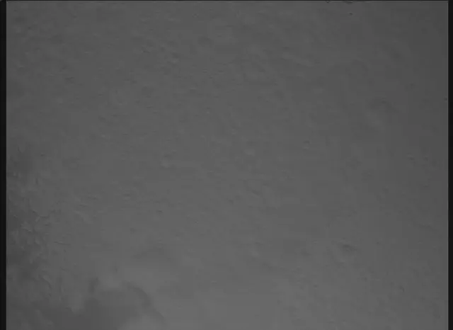 Sol 0: Mars Descent Imager (MARDI)
