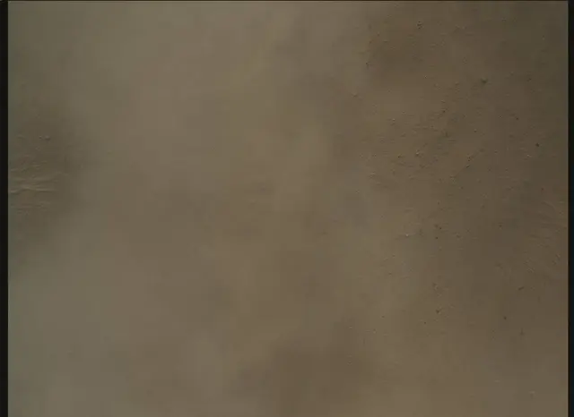 Sol 0: Mars Descent Imager (MARDI)