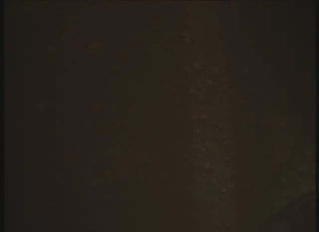 Sol 0: Mars Descent Imager (MARDI)