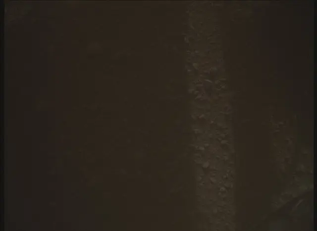 Sol 0: Mars Descent Imager (MARDI)