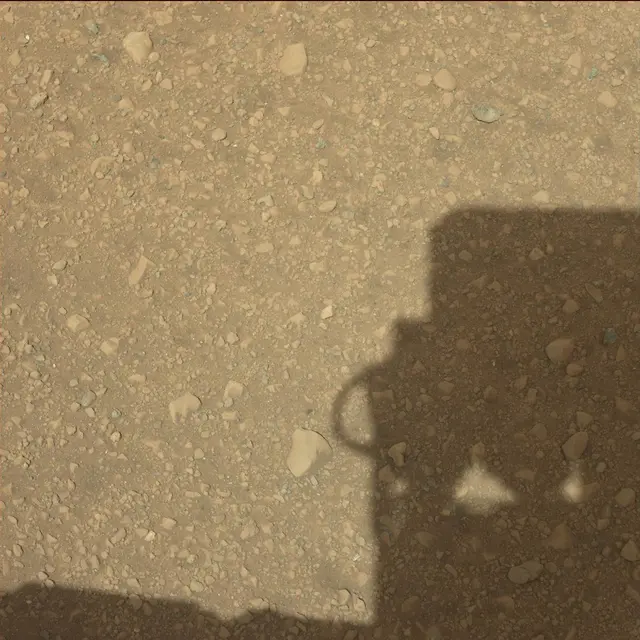 Sol 3: Mast Camera (Mastcam)