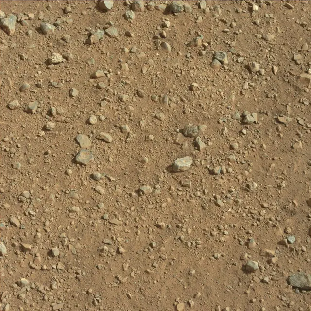 Sol 3: Mast Camera (Mastcam)