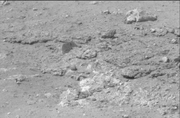 Sol 13: Mast Camera (Mastcam)