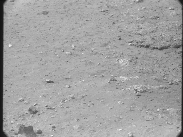 Sol 13: Mast Camera (Mastcam)