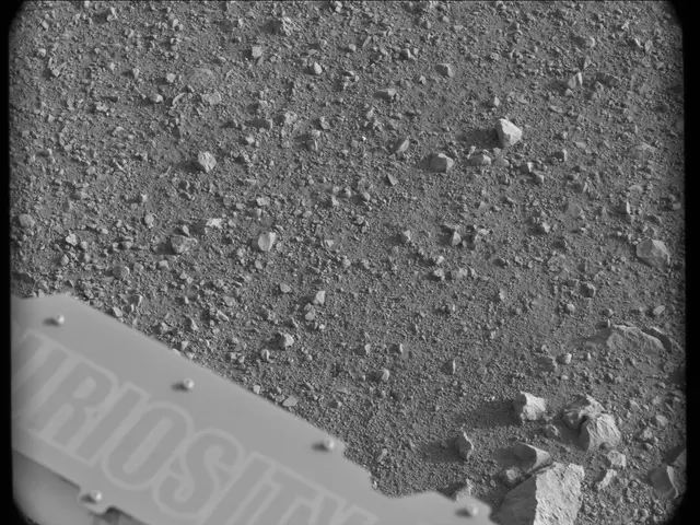 Sol 17: Mast Camera (Mastcam)