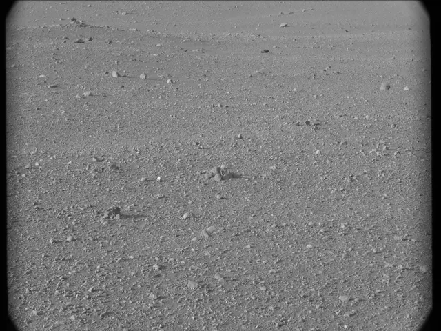 Sol 17: Mast Camera (Mastcam)