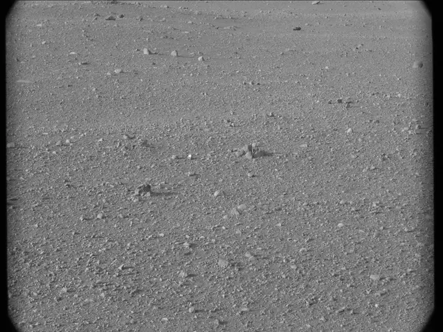 Sol 17: Mast Camera (Mastcam)
