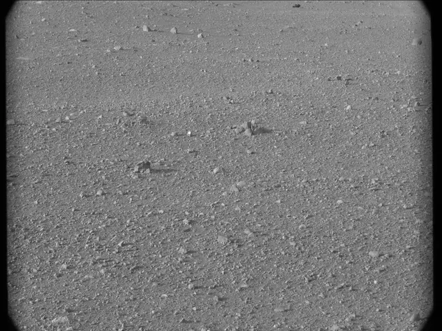 Sol 17: Mast Camera (Mastcam)