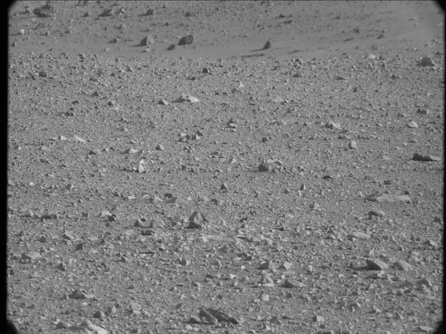 Sol 17: Mast Camera (Mastcam)