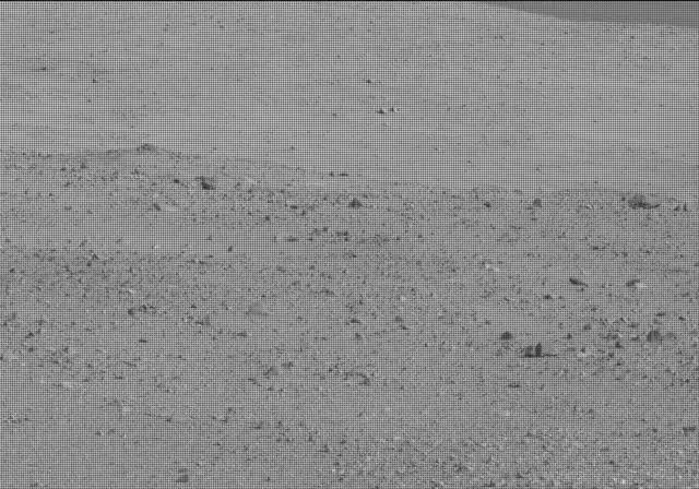 Sol 19: Mast Camera (Mastcam)