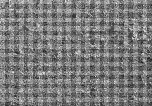 Sol 19: Mast Camera (Mastcam)