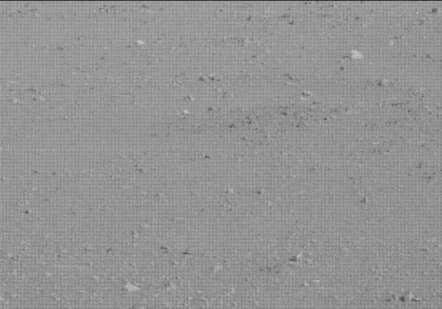 Sol 19: Mast Camera (Mastcam)