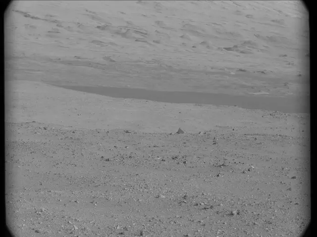 Sol 19: Mast Camera (Mastcam)