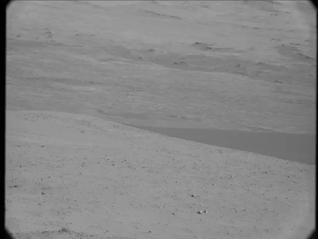 Sol 19: Mast Camera (Mastcam)