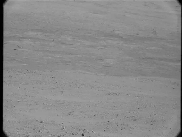 Sol 19: Mast Camera (Mastcam)