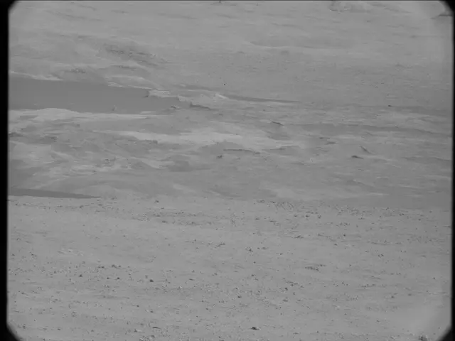 Sol 19: Mast Camera (Mastcam)