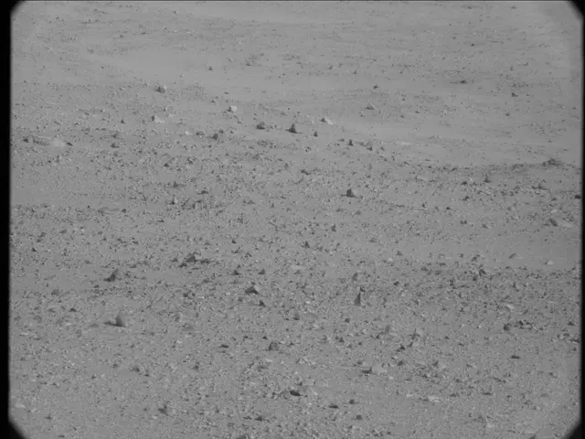 Sol 19: Mast Camera (Mastcam)