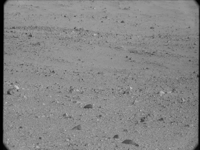 Sol 19: Mast Camera (Mastcam)