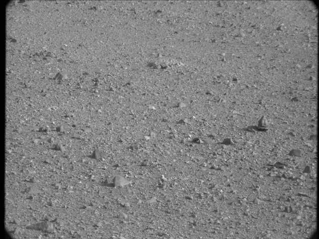 Sol 19: Mast Camera (Mastcam)