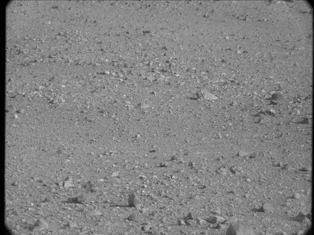 Sol 19: Mast Camera (Mastcam)