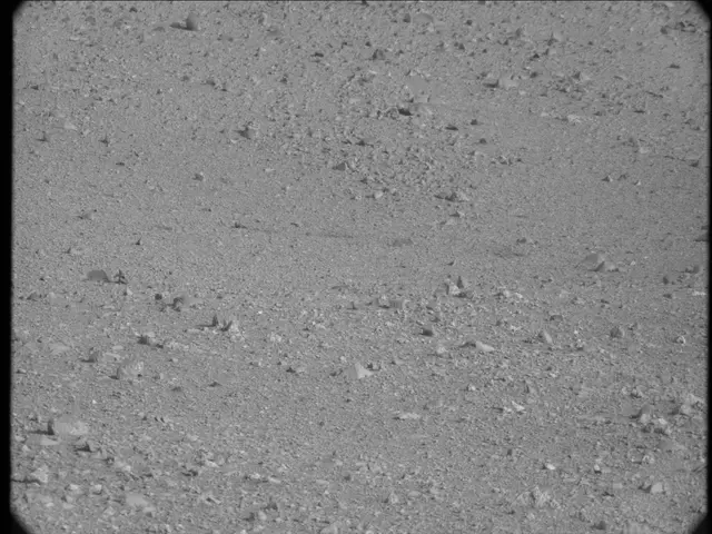 Sol 19: Mast Camera (Mastcam)