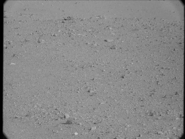 Sol 19: Mast Camera (Mastcam)