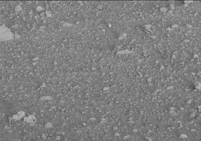 Sol 20: Mast Camera (Mastcam)