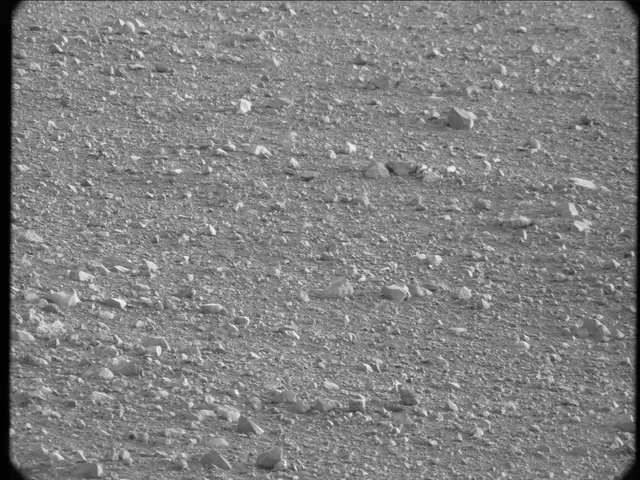 Sol 20: Mast Camera (Mastcam)
