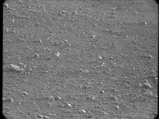Sol 20: Mast Camera (Mastcam)