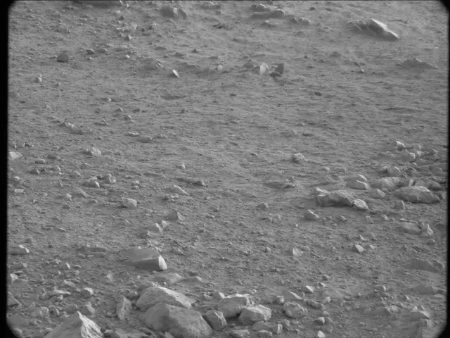 Sol 20: Mast Camera (Mastcam)