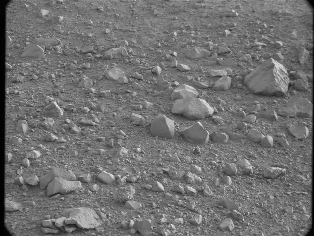 Sol 20: Mast Camera (Mastcam)